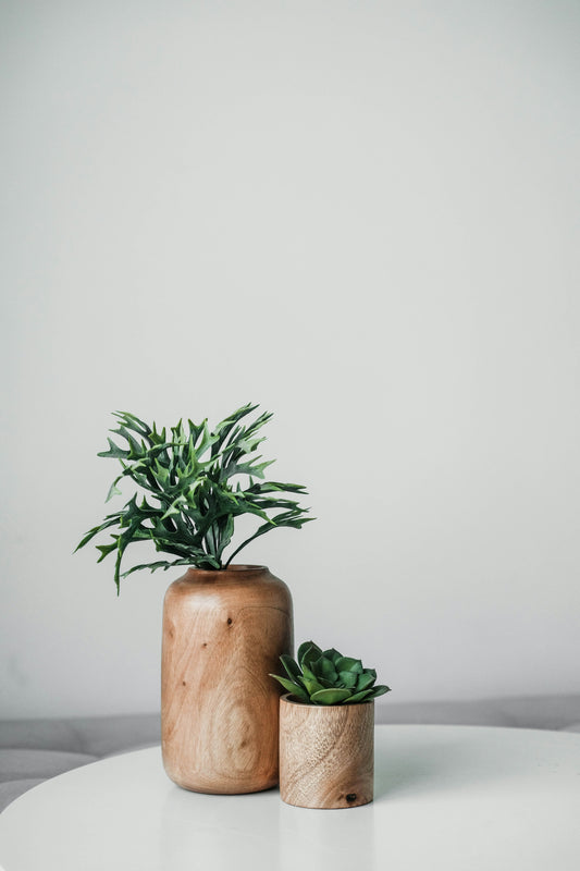 Handcrafted Wooden Vase and Pot Set with Succulent and Fern – Elegant Table Centerpiece
